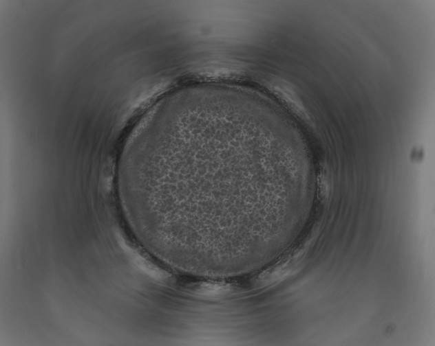 X0000091900458200710031825