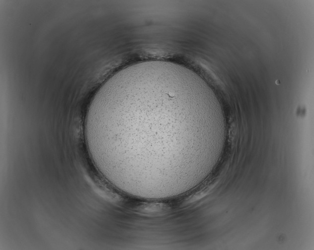 X0000091900459200710031825