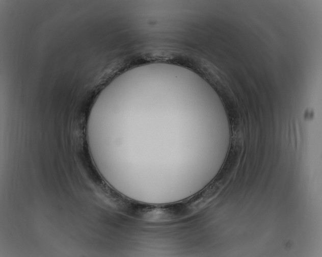 X0000091900460200710031825