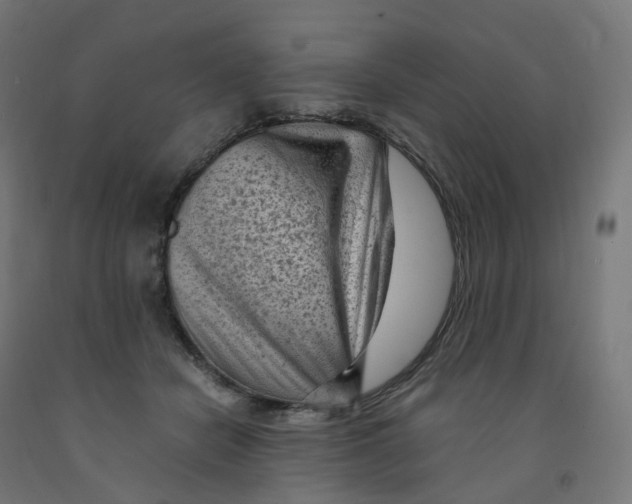 X0000091900462200710031825