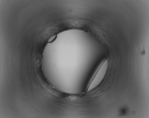 X0000091900464200710031825