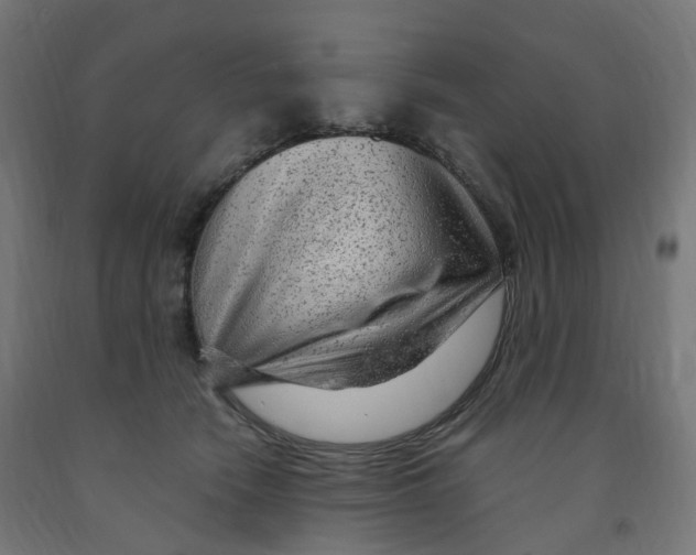 X0000091900466200710031825