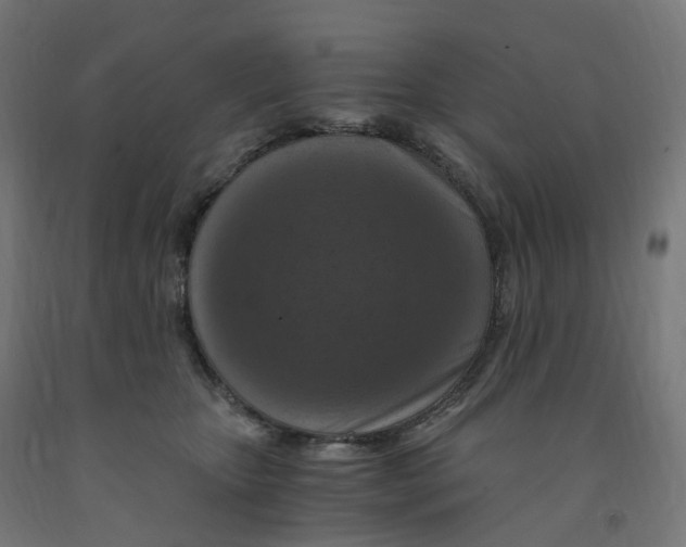 X0000091900467200710031825