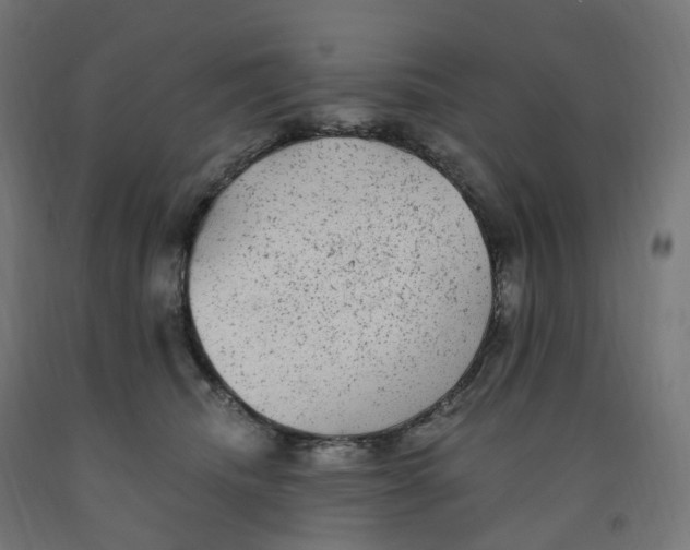 X0000091900468200710031825