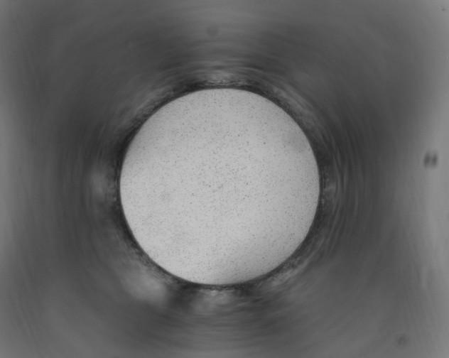 X0000091900469200710031825