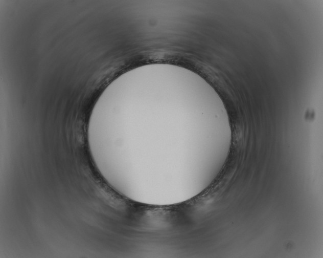 X0000091900470200710031825