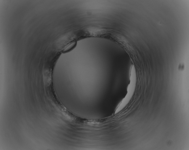 X0000091900471200710031825