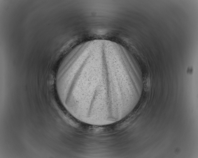 X0000091900472200710031825