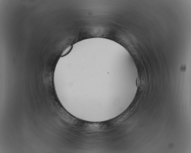 X0000091900473200710031825