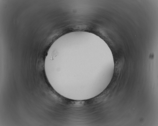 X0000091900474200710031825