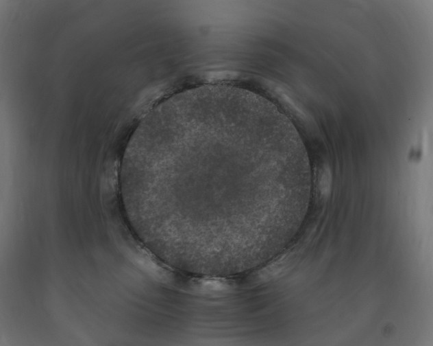 X0000091900475200710031826