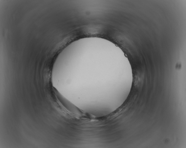 X0000091900476200710031826