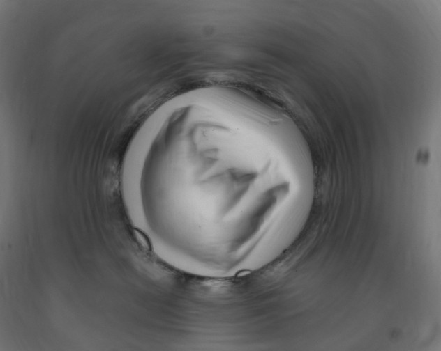 X0000091900478200710031826