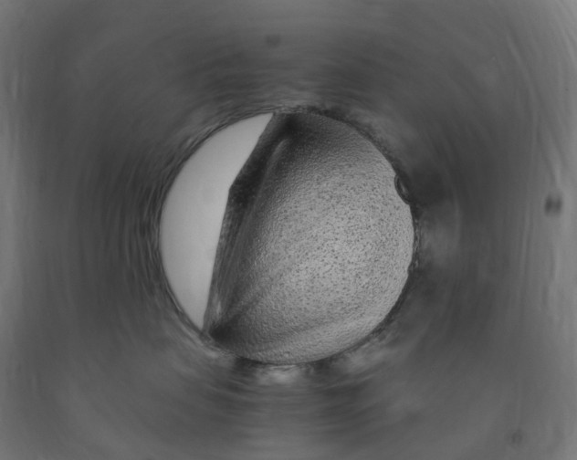 X0000091900479200710031826