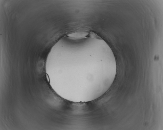 X0000091900480200710031826