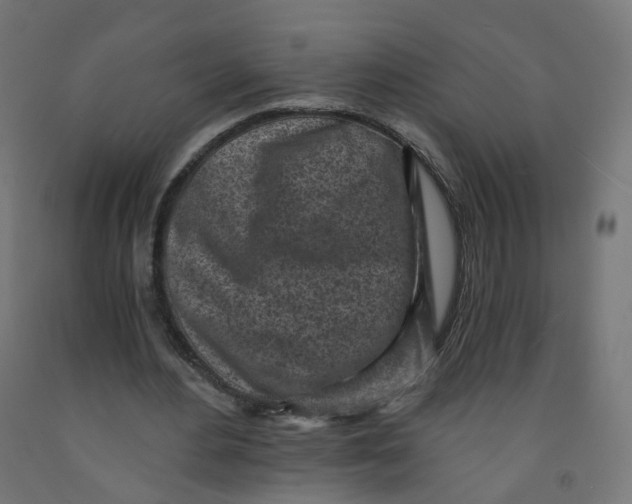 X0000091900484200710031825