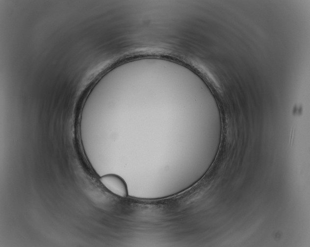 X0000091900486200710031825