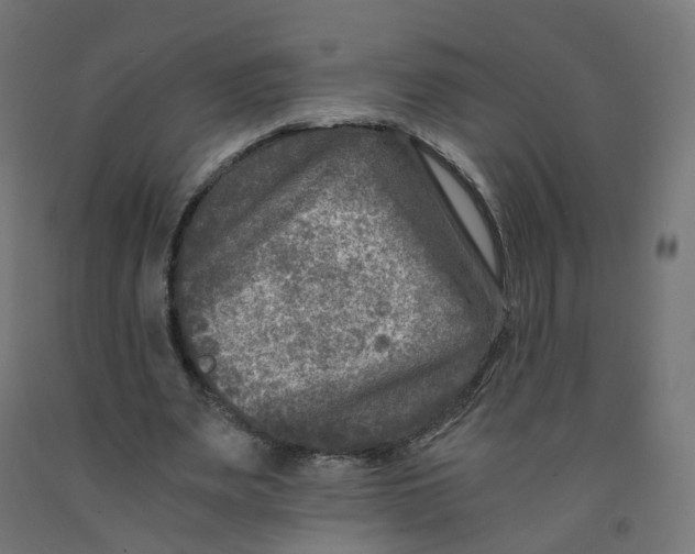 X0000091900487200710031825