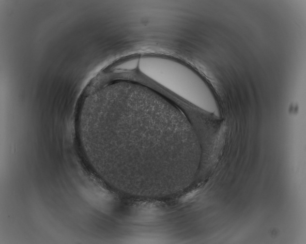 X0000091900488200710031825