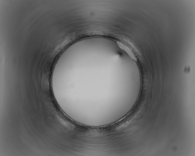 X0000091900489200710031825