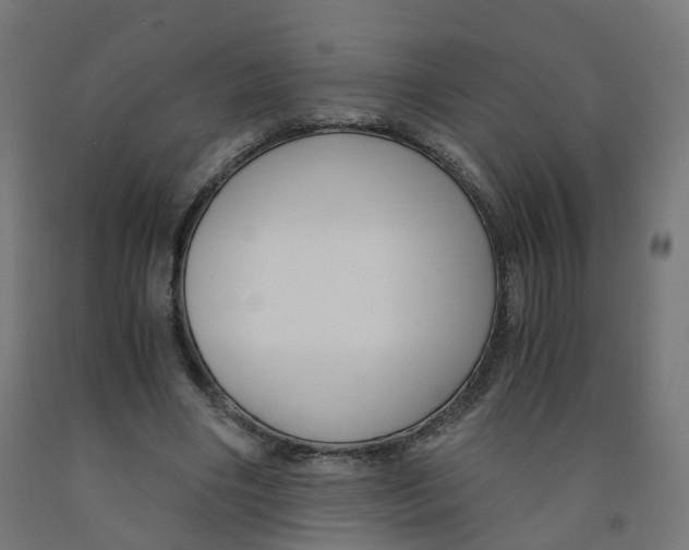 X0000091900490200710031825