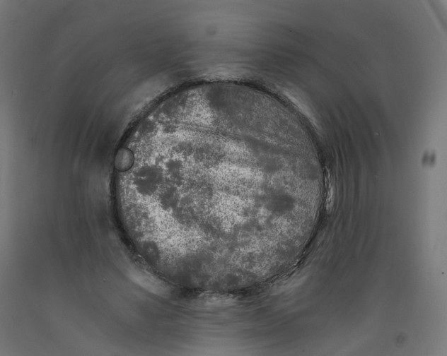 X0000091900491200710031825