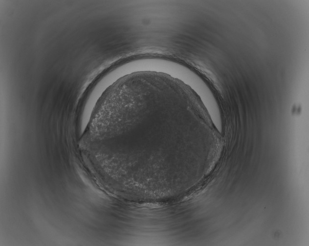 X0000091900492200710031825