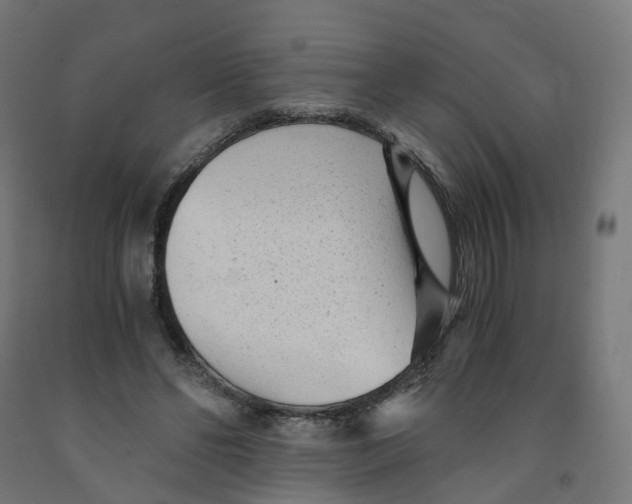 X0000091900494200710031825