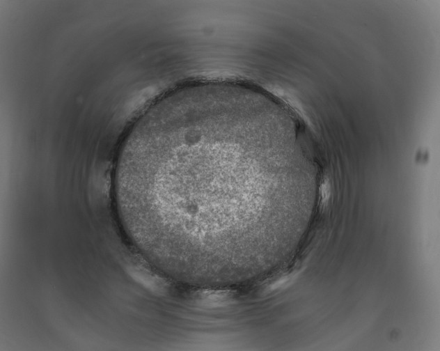 X0000091900495200710031825