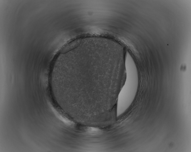 X0000091900496200710031825