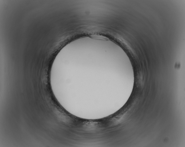 X0000091900497200710031825