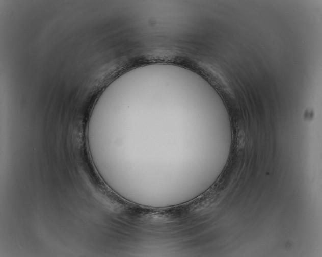 X0000091900498200710031825