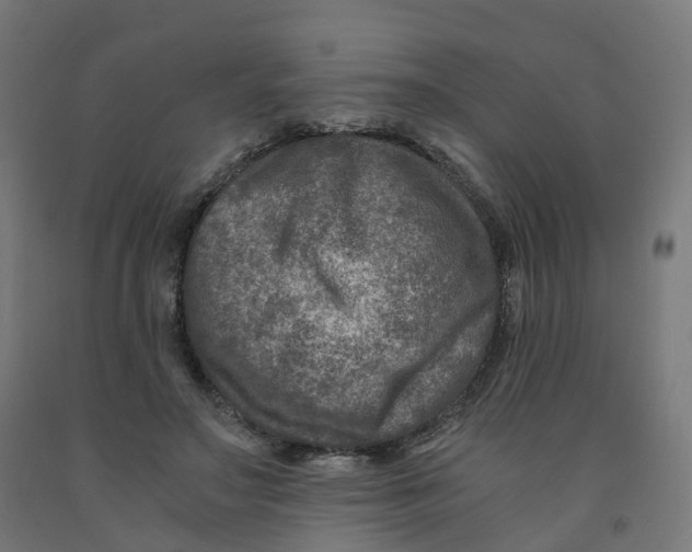 X0000091900499200710031825