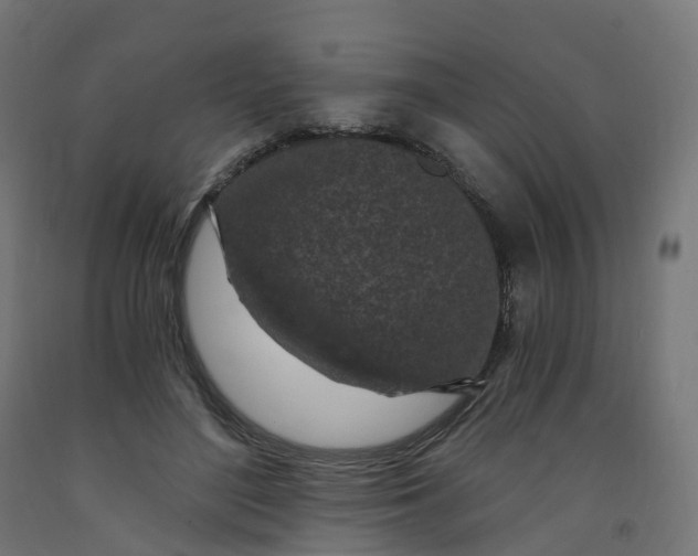 X0000091900500200710031825