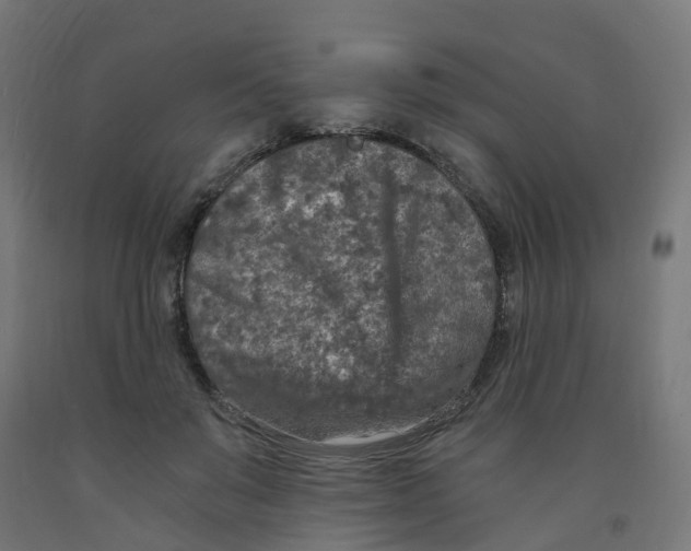 X0000091900503200710031825