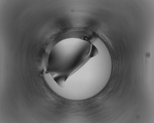 X0000091900505200710031825