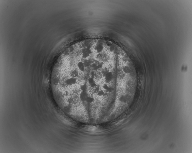 X0000091900507200710031825