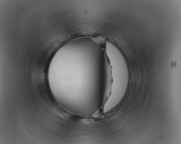 X0000091900508200710031825