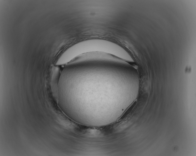 X0000091900509200710031825