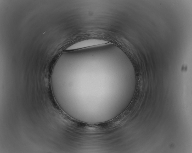 X0000091900510200710031825