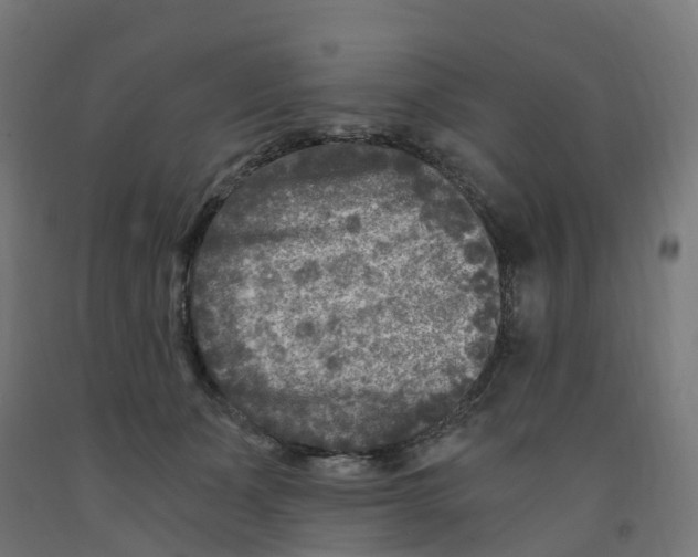 X0000091900511200710031825