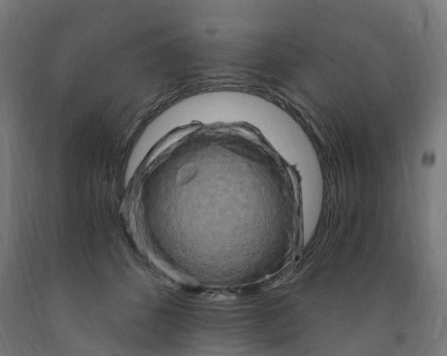 X0000091900512200710031825