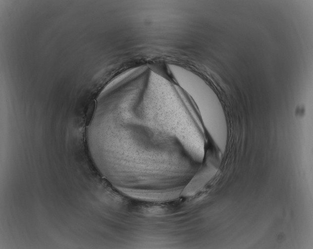 X0000091900513200710031825