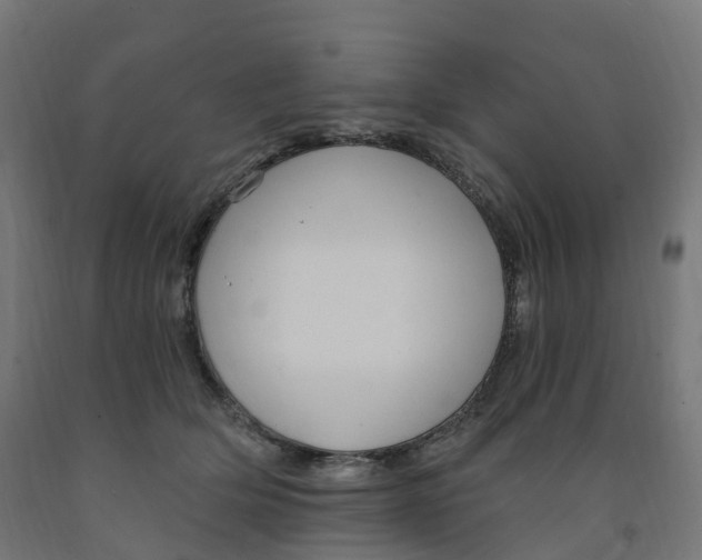 X0000091900514200710031825