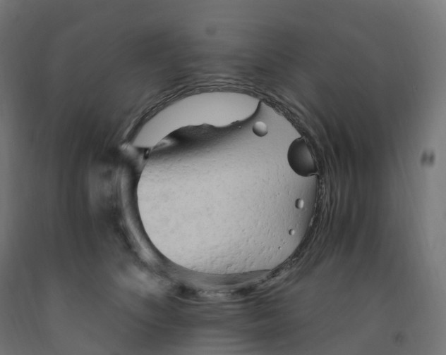 X0000091900516200710031825