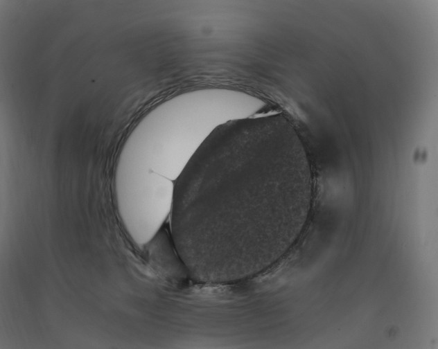 X0000091900517200710031825