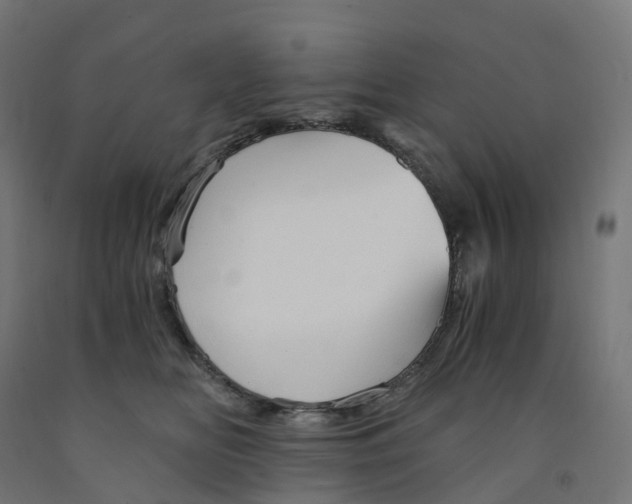 X0000091900518200710031825