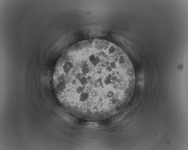 X0000091900519200710031825