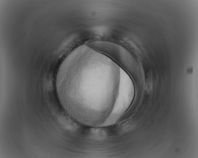 X0000091900520200710031824