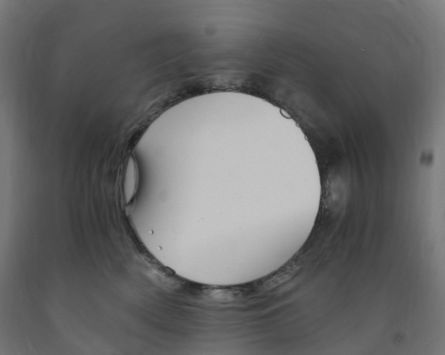 X0000091900522200710031824